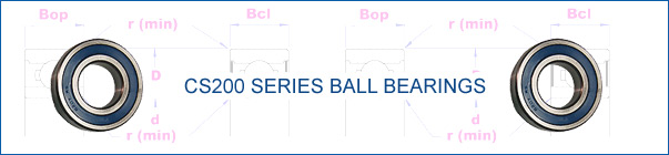 CS200 Series Ball Bearings
