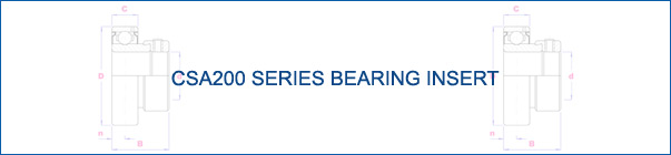 CSA200 Bearing Insert