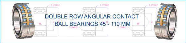 Double Row Angular Contact 45-110 mm