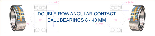 Double Row Angular Contact 8-40 mm