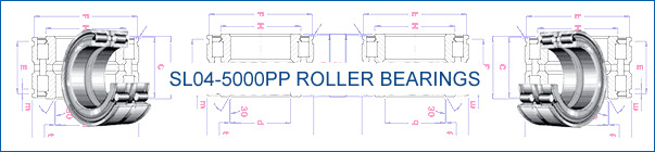 Roller Bearings SL04-5000 PP