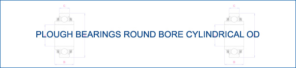 Round Bore Cylindrical 