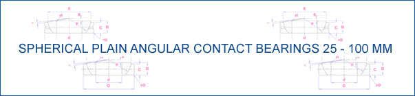 Spherical Plain Angular Contact Bearings 105-200 mm