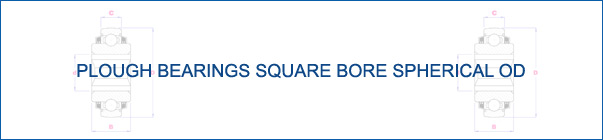 Square Bore Cylindrical