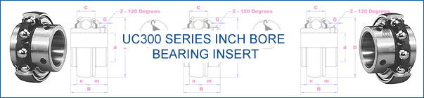 UC300 Series Inch Bore Bearing Insert 