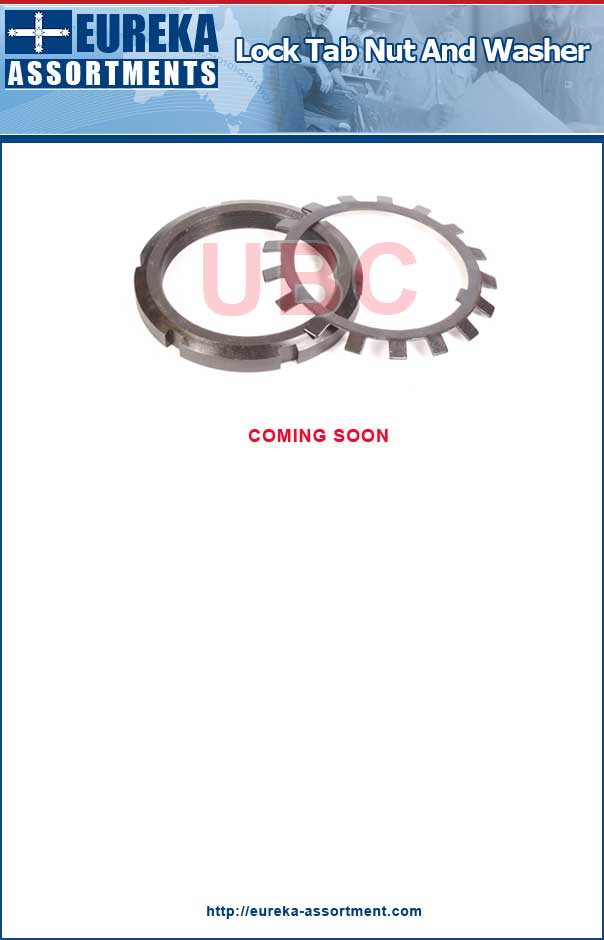 Lock Tab Nut and Washer
